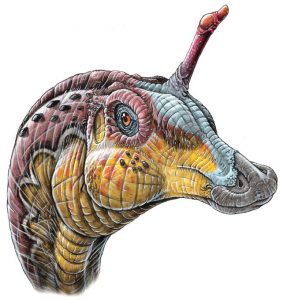 dino unicorn - Tsintaosaurus spinorhinus
