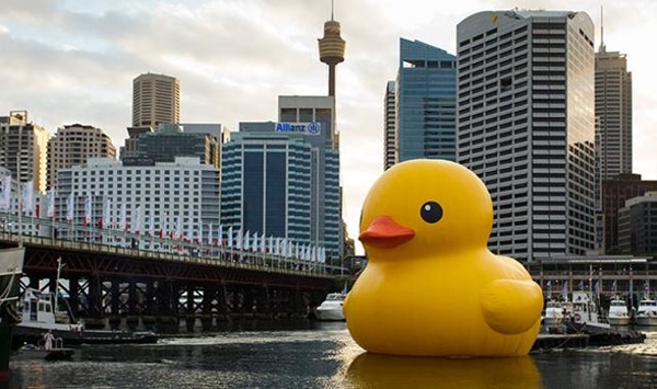 Rubber Duck in Sydney Harbor