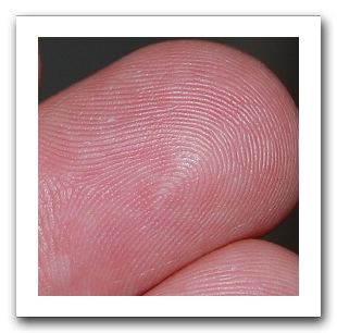 fingerprint.jpg