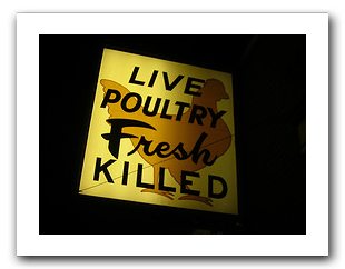 live-poultry-fresh-killed.jpg